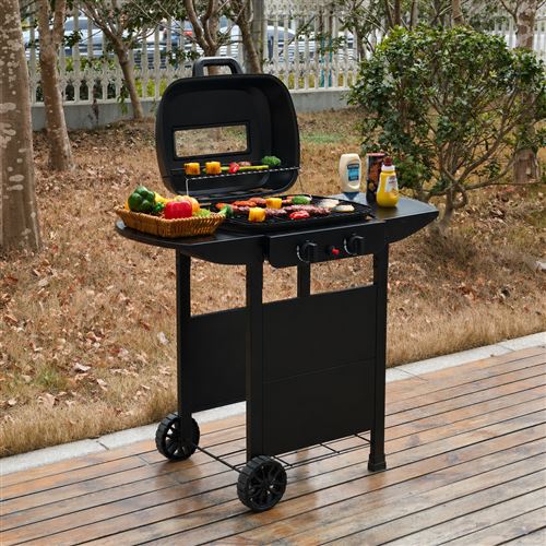 2 Burner Gas Grill BBQ with Cover and Lid