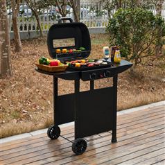 2 Burner Gas Grill BBQ with Cover and Lid