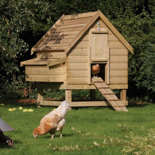Large Chicken House & Nesting Coop