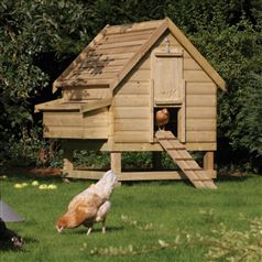 Large Chicken House & Nesting Coop
