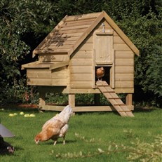 Large Chicken House & Nesting Coop