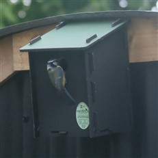 Eco Small Bird Nest Box