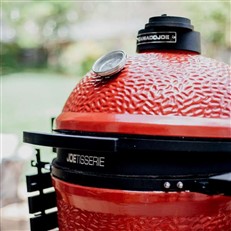 Wedge Shape Seals In Heat And Smoke 