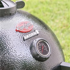 Thermometer 