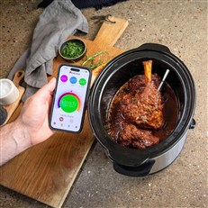 Using the Meater App for monitoring