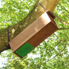 Tawny Owl Nest Tube box