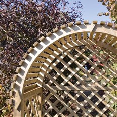 Arbour Arch