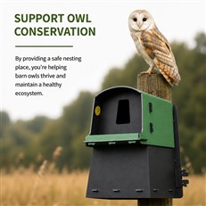Eco Barn Owl Nest Box
